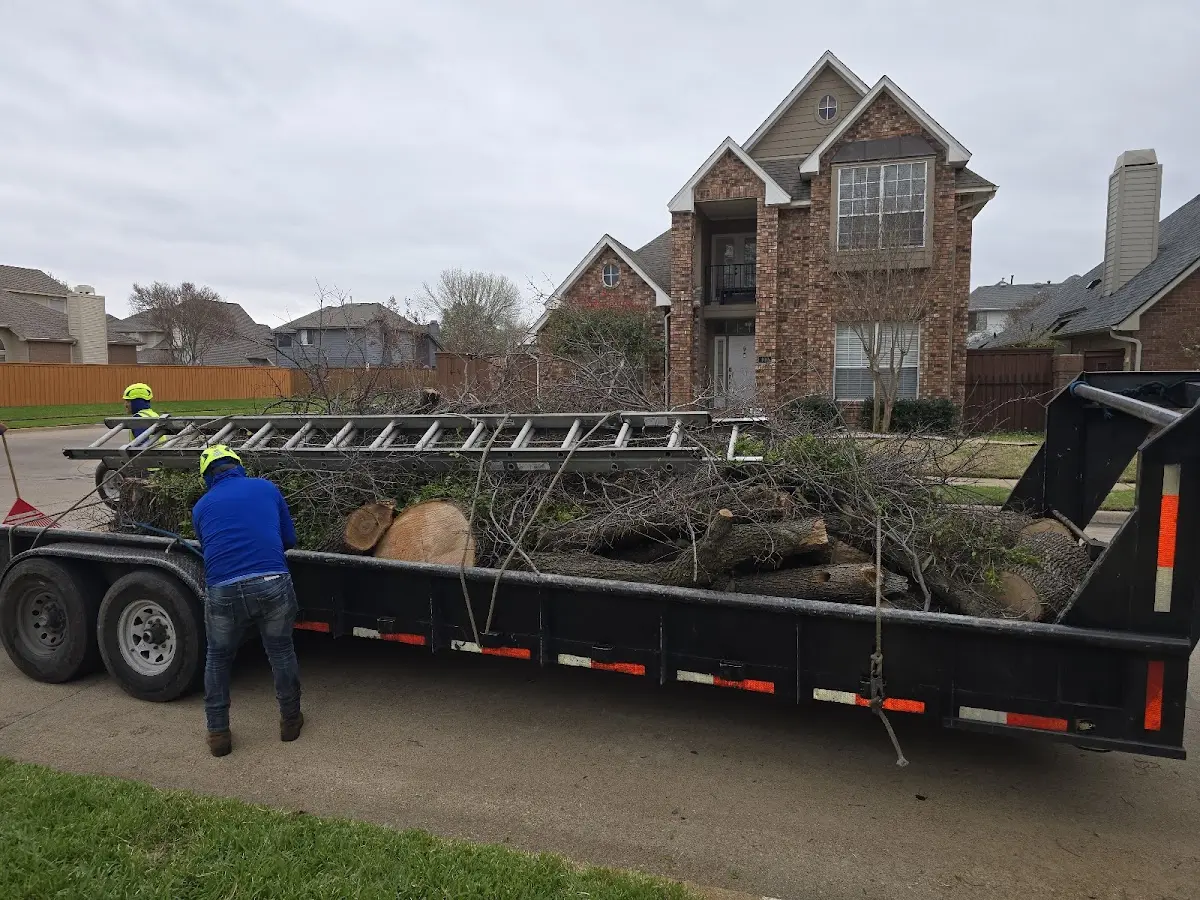 Expert Tree Fertilization with proper safety equipment in Osborn